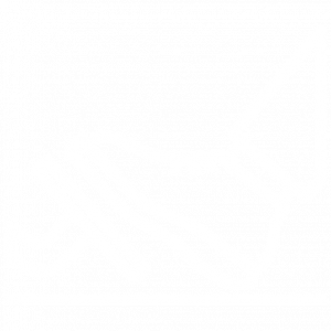 Alta Tecnología en Servicio Automotriz Gustavo S.A. de C.V.